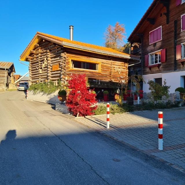 Chesa Prema Disentis Exterior foto